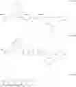 Fig. 10 - Polarizing plate