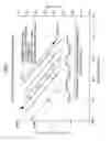 Fig. 06 - Roll of continuous web of optical film laminate and production method therefor