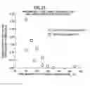 Fig. 23 - Roll of continuous web of optical film laminate and production method therefor