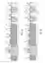 Fig. 13 - Method and structure providing a front-end-of-line and a back-end-of-line coupled waveguides