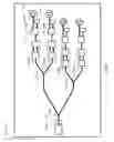 Fig. 12 - Optical circuit