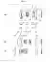 Fig. 08 - Zoom lens system, imaging device, and camera