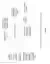 Fig. 07 - ENHANCED OPTICAL AND PERCEPTUAL DIGITAL EYEWEAR