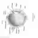 Fig. 09 - Enhanced optical and perceptual digital eyewear