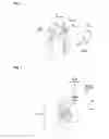 Fig. 02 - Minimized-thickness angular scanner of electromagnetic radiation