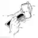 Fig. 01 - CONTAINER-OPENING EYEWEAR