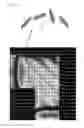 Fig. 08 - Liquid crystal display apparatus having four liquid crystal domains