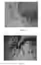 Fig. 04 - Compositions comprising mineral spirits and methods related thereto