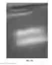 Fig. 03 - COMPOSITIONS COMPRISING MINERAL SPIRITS AND METHODS RELATED THERETO