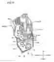 Fig. 17 - Developer cartridge having developing roller and electrode