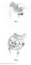 Fig. 04 - Timepiece comprising a chiming device