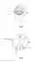 Fig. 05 - Timepiece comprising a chiming device