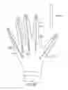 Fig. 06 - Glove interface object with thumb-index controller
