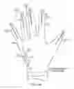 Fig. 09 - Glove interface object