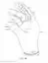 Fig. 15 - Glove interface object