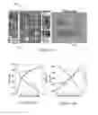 Fig. 14 - SYSTEM AND METHOD FOR 3D POSITION AND GESTURE SENSING OF HUMAN HAND