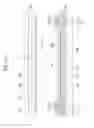 Fig. 36 - Display device
