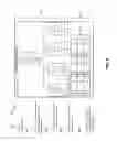 Fig. 07 - Dynamic layout for organizational charts