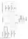 Fig. 06 - Multitouch chording language