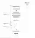 Fig. 10 - Automatic purposed-application creation