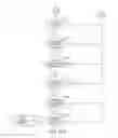 Fig. 30 - Dynamic language translation of web site content