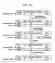 Fig. 24 - Method for update processing, and apparatus
