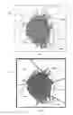 Fig. 03 - Event detection and characterization in big data streams