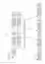 Fig. 14 - Executing constant time relational queries against structured and semi-structured data