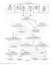 Fig. 31 - Executing constant time relational queries against structured and semi-structured data