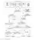 Fig. 32 - Executing constant time relational queries against structured and semi-structured data