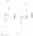 Fig. 04 - Database scale-out