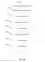 Fig. 11 - RULES BASED HIERARCHICAL DATA VIRTUALIZATION