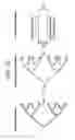 Fig. 13 - ORGAN CONSTRUCT AND METHODS OF MANUFACTURE THEREOF