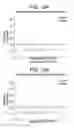 Fig. 14 - ORGAN CONSTRUCT AND METHODS OF MANUFACTURE THEREOF