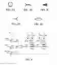 Fig. 04 - Verification of photonic integrated circuits
