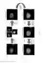 Fig. 04 - METHODS FOR QUANTITATIVE ANALYSIS OF CELL SPATIAL TRAJECTORIES