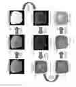 Fig. 05 - METHODS FOR QUANTITATIVE ANALYSIS OF CELL SPATIAL TRAJECTORIES