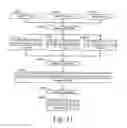 Fig. 13 - TARGETED ELECTRICAL STIMULATION
