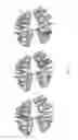 Fig. 10 - Electronic dental charting