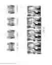 Fig. 13 - Electronic dental charting