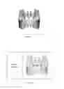 Fig. 16 - Electronic dental charting