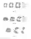 Fig. 19 - Electronic dental charting