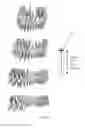 Fig. 22 - Electronic dental charting