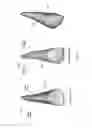 Fig. 32 - Electronic dental charting
