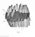 Fig. 34 - Electronic dental charting