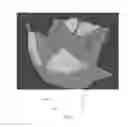 Fig. 35 - Electronic dental charting
