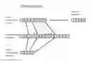 Fig. 01 - DOUBLE KEY CODING METHODS OF PROVIDING FAST SEARCH, ANALYSIS, AND DATA RETRIEVAL OF ENCRYPTED DATA WITHOUT DECRYPTION