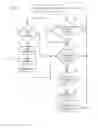 Fig. 04 - REAL-TIME ANALYTICS TO IDENTIFY VISUAL OBJECTS OF INTEREST