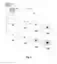 Fig. 07 - Methods for performing biometric recognition of a human eye and corroboration of same