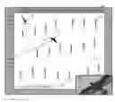 Fig. 01 - GRAPHICAL DISPLAY FOR BIRD OR BAT DETECTION AND IDENTIFICATION